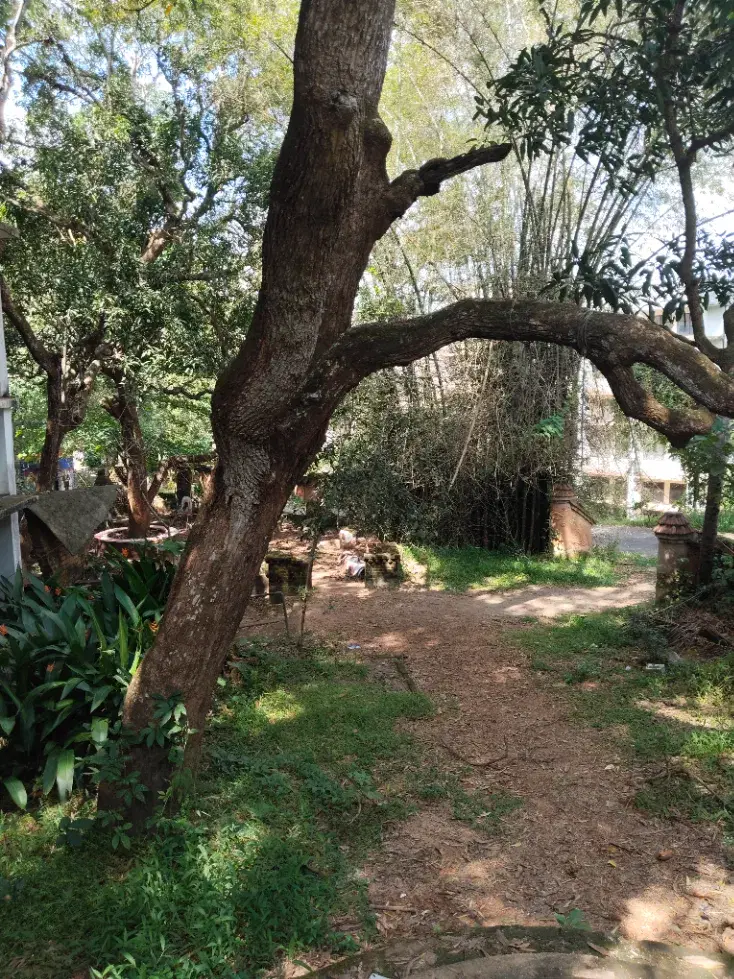 CET Trivandrum Campus photo 6